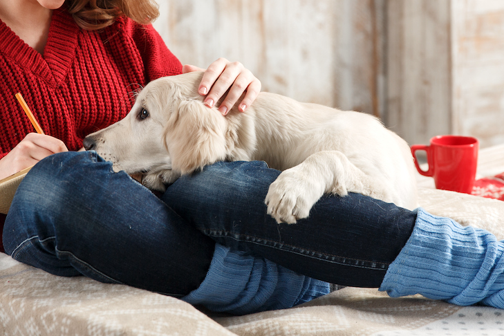 Can Canine Householders Experience the ‘Pet Blues?’ Look at Says Positive